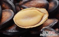葵花籽的功效与作用 西瓜子的功效与作用
