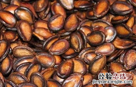葵花籽的功效与作用 西瓜子的功效与作用