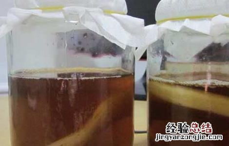红茶菌的制作方法和功效说明 红茶菌的制作方法