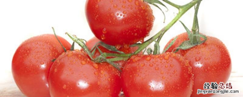 西红柿在开花结果了需要施肥吗 西红柿开花了可以施肥吗