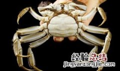 蒸螃蟹为什么黄不成型 蒸螃蟹为什么黄不成型的原因