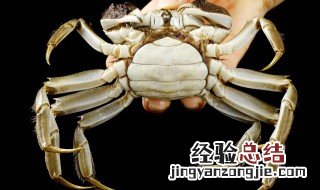 蒸螃蟹为什么黄不成型 蒸螃蟹为什么黄不成型的原因