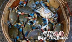 青蟹怎么煮 青蟹应该怎么煮才好吃