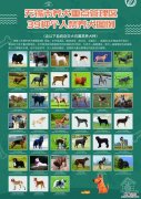无锡 禁养犬 无锡禁养犬的名单