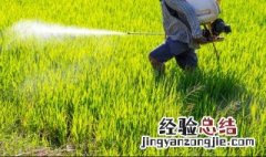 打完药几个小时下雨没事 打药多长时间下雨没事