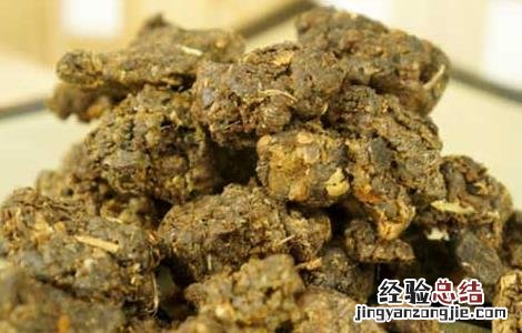蜂胶哪个牌子好 酒制蜂胶哪个牌子好