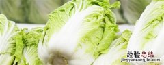 大白菜种植技术与管理视频教程 大白菜种植技术与管理