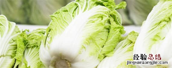 大白菜种植技术与管理视频教程 大白菜种植技术与管理