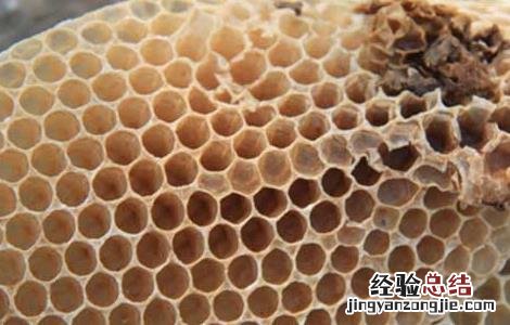 蜂胶怎么样吃效果更好 蜂胶怎么吃效果最好