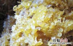 蜂胶怎么样吃效果更好 蜂胶怎么吃效果最好