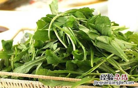 荠菜的营养价值 芥菜的营养价值和功效作用