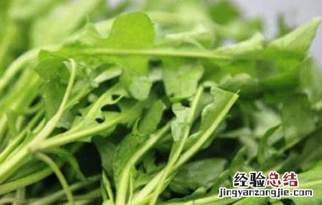荠菜的功效与作用荠菜图片 荠菜的功效与作用