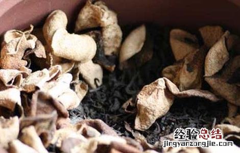 陈皮茶的功效与作用 陈皮普洱茶的功效与作用
