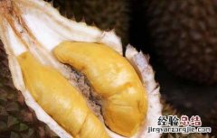 女人吃榴莲有什么好处 女人吃榴莲有什么好处增肥吗