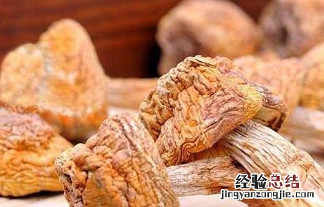 松茸的功效与作用及禁忌 松茸的功效与作用