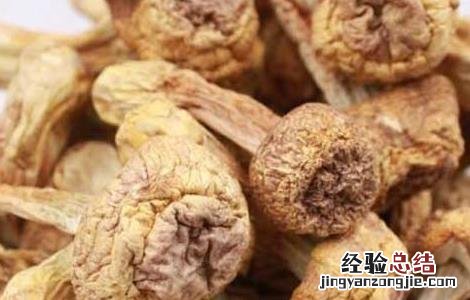 松茸的功效与作用及禁忌 松茸的功效与作用