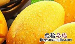 芒果的寓意象征 芒果的寓意象征是什么