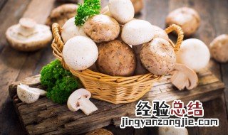 蘑菇的储存方法 蘑菇怎么储存