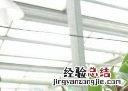 口红吊兰的药用价值与功效与作用 口红吊兰的药用价值与功效