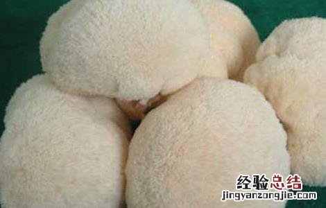 猴头菇的功效与作用 猴头菇的功效与作用及营养价值