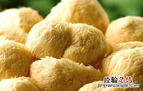 猴头菇的功效与作用 猴头菇的功效与作用及营养价值