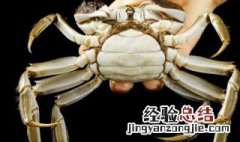 吃了螃蟹能吃冰的黑米八宝粥吗 吃完螃蟹能吃八宝粥吗