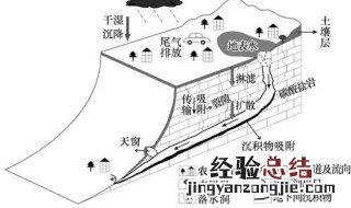 地下水位高低怎么判断 地下水位高低怎么判断示意图