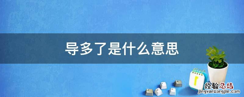 导多了是什么意思梗 导多了是什么意思