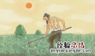 锄禾日当午汗滴禾下土中锄禾的意思是什么 这句话出自哪