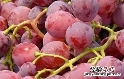 提子皮皮可以吃不 提子皮可不可以吃