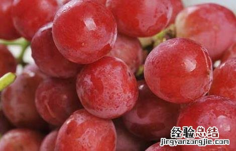 提子皮皮可以吃不 提子皮可不可以吃