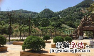 武汉最高的山是哪一座 武汉最高的山有多高