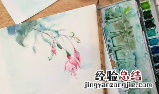 初学者水彩纸买多少g的 初学者容易忽视的入门问题
