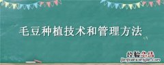 毛豆的栽培技术 毛豆种植技术和管理方法