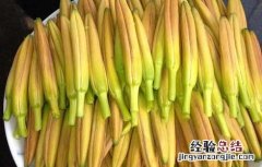 鲜黄花菜怎么处理 鲜黄花菜怎么处理没有毒