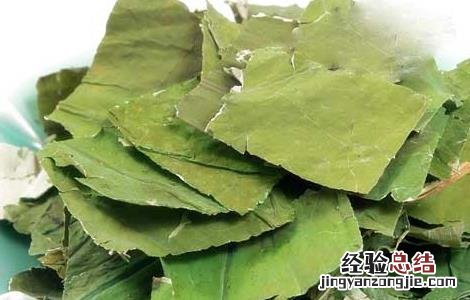 荷叶茶的功效有哪些 荷叶茶的功效有哪些禁忌