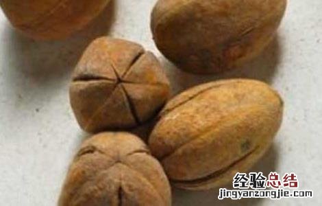 巴豆哪里有卖的 巴豆哪里有卖的呀