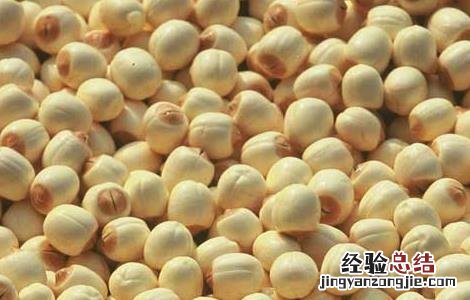 莲子的食用方法 莲子的食用方法和禁忌