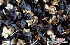 黑枸杞泡水后什么颜色最好 黑枸杞泡水后什么颜色