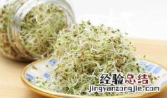 自发苜蓿芽菜的做法 自发苜蓿芽菜怎么做