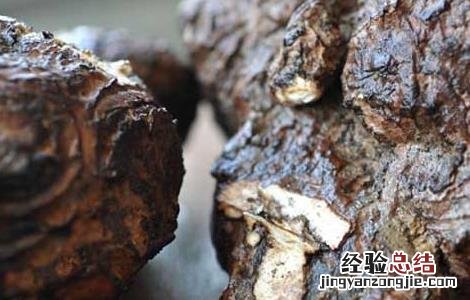 白茯苓美白面膜的做法 白茯苓面膜怎么做