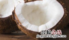 椰子沙冰全程教学视频 椰子沙冰怎么做简单