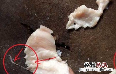 猪肉绦虫有哪些危害 猪肉绦虫有哪些危害呢