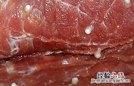 猪肉绦虫有哪些危害 猪肉绦虫有哪些危害呢