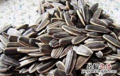 瓜子的热量高吗 恰恰瓜子的热量高吗