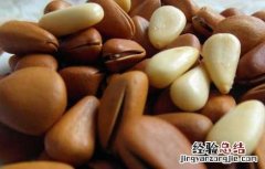 松子的营养价值及功效与作用禁忌 松子的营养价值