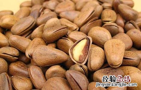 松子的营养价值及功效与作用禁忌 松子的营养价值