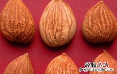 苦杏仁的功效与作用主要治什么病 苦杏仁的功效与作用
