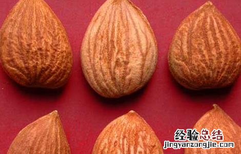 苦杏仁的功效与作用主要治什么病 苦杏仁的功效与作用