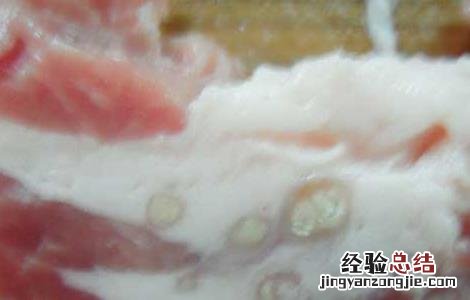 米猪肉是什么肉 什么样的肉是米猪肉